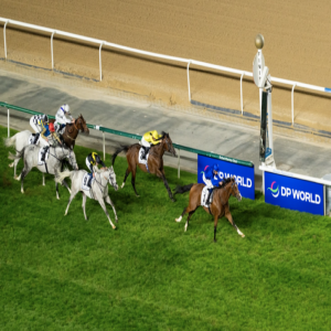 «سكاي ريسينغ» يشارك في كأس الملكة إليزابيث بالجواد «أندرياس فيزاليوس»