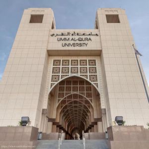 ابتكار سعودي يُحوّل حركة المرور إلى طاقة متجددة على الطرق العامة