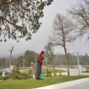 أكثر من 15 ألف جولة رقابية تعزز السلامة البيئية في الباحة