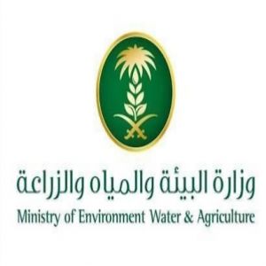 مسالخ المدينة المنورة تستقبل أكثر من 107 آلاف رأس من المواشي خلال الربع الأول من 2026