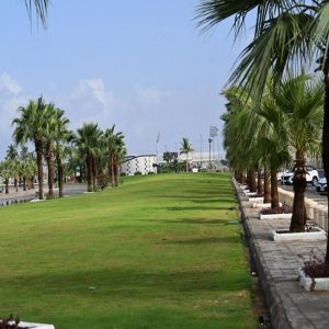 واجهة المانجروف بمدينة جيزان.. أيقونة ساحلية جديدة تُعزِّز جاذبية جازان السياحية