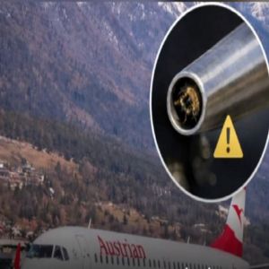 إلغاء إقلاع طائرة ركاب نمساوية بسبب نحلة