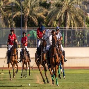 الحبتور يتوج بطلاً لختام سلسلة كأس دبي الذهبية للبولو