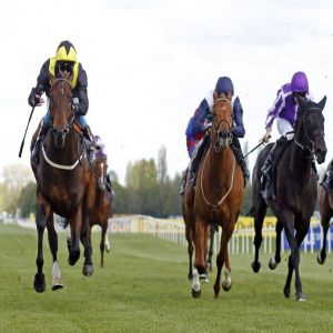 «ألبارسلان» يخطف الأضواء في نيوبري