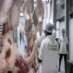 مشروع الهدي والأضاحي يفتح باب التسجيل في برنامج العمل الموسمي لحج 1447هـ