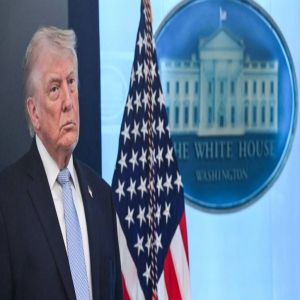 ترامب يجري محادثات مع بوتين وزيلينسكي لإنهاء الحرب