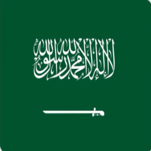 المملكة تحقق المركز الثاني عالميًا في جاذبية أسواق مراكز البيانات