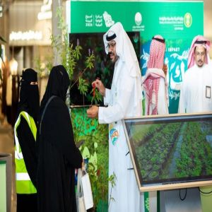 أمانة تبوك تشارك في "أسبوع البيئة" بمبادرات متنوعة وبرامج تعريفية