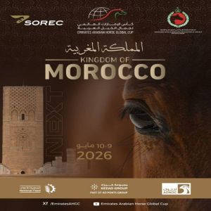 179 خيلاً في كأس الإمارات العالمي لجمال الخيل العربية بالمغرب