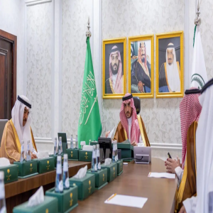 أمير الجوف يستقبل الرئيس التنفيذي لصندوق الوقف الصحي
