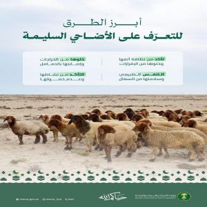 "البيئة": مراعاة الإرشادات الصحية والبيطرية لاختيار الأضاحي تعزّز جودة لحومها وتحمي الصحة العامة