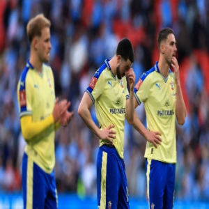 استبعاد ساوثهامبتون من ملحق الصعود للدوري الإنجليزي