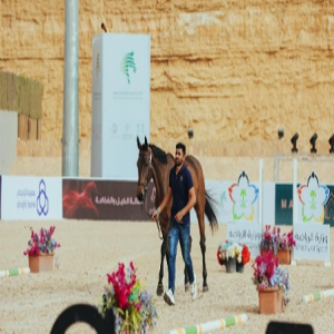 الاتحاد السعودي للفروسية ينظم نهائي دوري قفز الحواجز