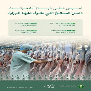 "البيئة" تؤكد أهمية ذبح الأضاحي داخل المسالخ لضمان سلامة اللحوم وحماية البيئة والصحة العامة