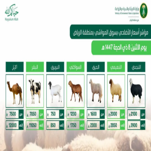 "بيئة الرياض": وفرة كبيرة في الأضاحي واستقرار بالأسعار مع تعزيز الجولات الرقابية بأسواق المنطقة