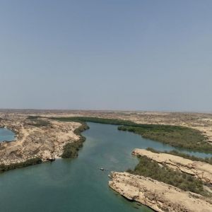 غابات القندل في فرسان.. رحلةٌ بحرية بين الخضرة والماء تستقطب زوار العيد