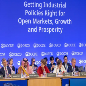 وزير الاقتصاد والتخطيط يشارك في الاجتماع الوزاري لمجلس منظمة التعاون الاقتصادي والتنمية لعام 2026 في باريس