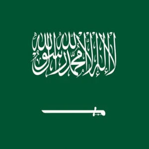 المملكة تشارك في منتدى أوسلو 2026.. وتؤكد دورها المحوري في السلام المستدام