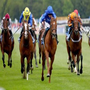 خيول الإمارات تخوض تحدي مهرجان رويال آسكوت