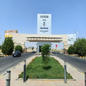 جامعة نجران تسجّل براءة اختراع أمريكية لابتكار كبسولة دوائية متقدمة