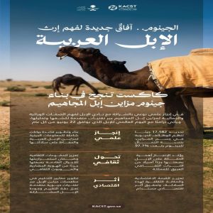 "كاكست" تنجح في بناء جينوم مزاين إبل المجاهيم