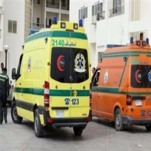 مصر: وفاة سيدة وطفلين بلدغات ثعابين تثير مطالبات بتدخل حكومي عاجل
