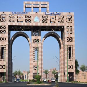 جامعة طيبة تفتح التسجيل في البرنامج المهني الصيفي للابتكار الرقمي والذكاء الاصطناعي