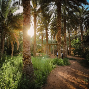 الهيئة الملكية لمحافظة العُلا تطلق موسم "خيرات العُلا"