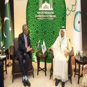 المدير التنفيذي للهيئة الدائمة المستقلة لحقوق الإنسان يعقد اجتماعاً ثنائياً مع وزير حقوق الإنسان الباكستاني