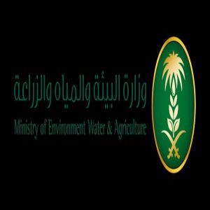 "بيئة المدينة المنورة" تطلق حملة ميدانية لتعزيز الامتثال في أسواق الماشية