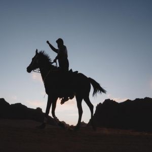 العُلا.. وجهة رائدة لسياحة الفروسية في المملكة