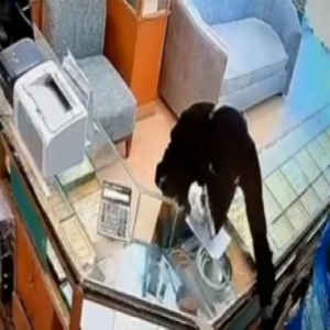 الكويت: سطو مسلح على محل مجوهرات بـ«مسدس لعبة».. والنهاية صدمت الجميع