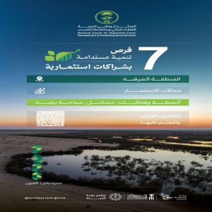 "الغطاء النباتي" يطرح 7 فرص تنمية مستدامة بشراكات استثمارية في المنطقة الشرقية