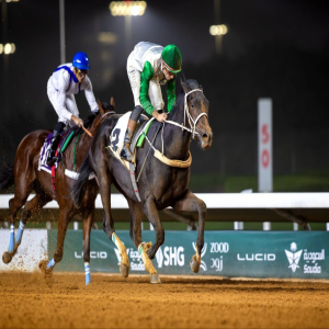 كأس الأمير عبدالله الفيصل للخيل العربية الأصيلة.. ضمن سباقات الفئة الثالثة دوليًا
