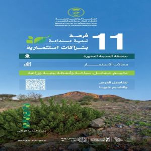 مركز "الغطاء النباتي" يطرح 11 فرصة تنمية مستدامة بشراكات استثمارية في منطقة المدينة المنورة
