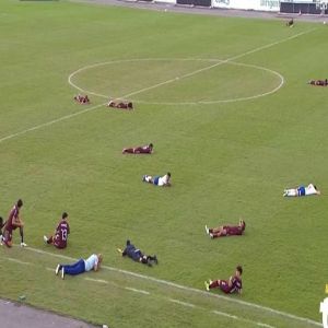إيقاف مباراة في البرازيل بسبب النحل