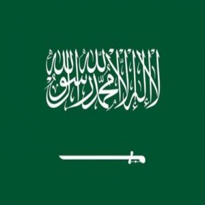 صندوق النقد الدولي يشيد بتصدّر المملكة عالميًا في تبنّي الذكاء الاصطناعي