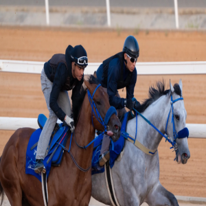 نادي سباقات الخيل يوقّع اتفاقية للتحول الرقمي