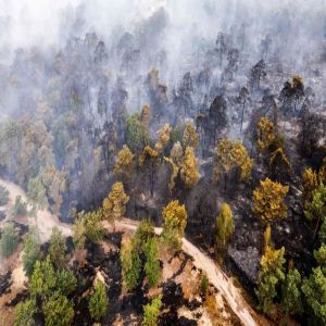 السيطرة على حريق جديد بالقرب من لاهاي في هولندا