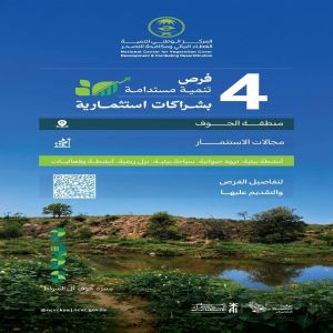 "الغطاء النباتي" يطرح 4 فرص تنمية مستدامة بشراكات استثمارية في منطقة الجوف