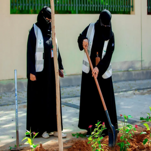 أمانة تبوك تزرع 4,630 شجرة و625 ألف زهرة خلال النصف الأول من عام 2026م