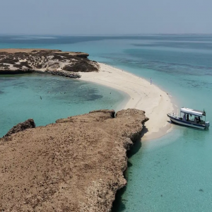 لماذا أصبحت جزر فرسان عنوانًا عالميًا لحماية الطبيعة؟