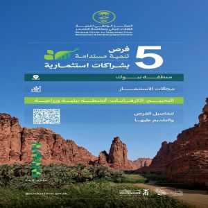 "الغطاء النباتي" يطرح 5 فرص تنمية مستدامة بشراكات استثمارية في منطقة تبوك