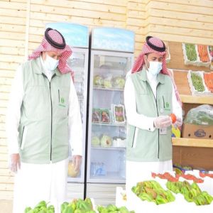 فرع وزارة البيئة بمنطقة الجوف يستعرض إحصائيات أعماله الرقابية والتشغيلية لشهري يوليو وأغسطس