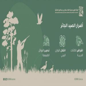 هيئة تطوير محمية الملك سلمان الملكية تشدّد على منع الصيد في المناطق التي تقع في نطاقها