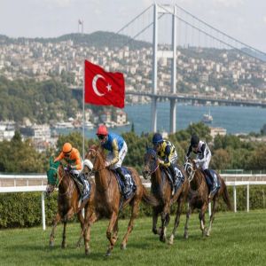9 خيول تتنافس على لقب كأس رئيس الدولة للخيول العربية في إسطنبول