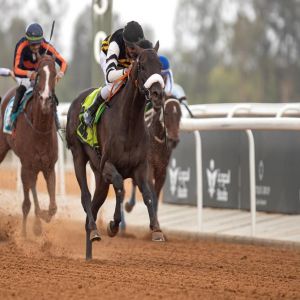 2.8 مليون ريال.. جوائز الأسبوع التاسع من موسم سباقات الخيل بالطائف