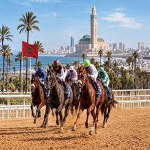 مضمار الدار البيضاء يحتضن المحطة الـ14 لكأس رئيس الدولة للخيول العربية الأصيلة