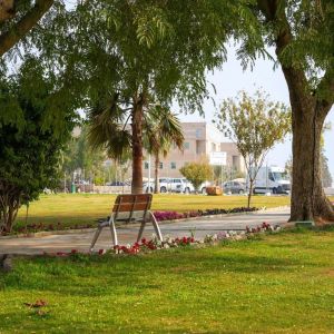 أمانة القصيم ترفع جاهزية (101) حديقة في بريدة لاستقبال الزوار خلال إجازة اليوم الوطني السعودي