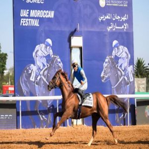 «براق» يحتفظ بلقب كأس رئيس الدولة للخيول العربية الأصيلة بالمغرب